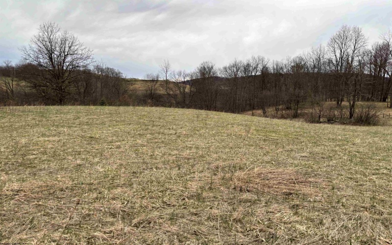 838 Charlie Phillips Road, Montrose, West Virginia 26283, ,Lots/land,For Sale,Charlie Phillips,10158553