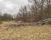 838 Charlie Phillips Road, Montrose, West Virginia 26283, ,Lots/land,For Sale,Charlie Phillips,10158553