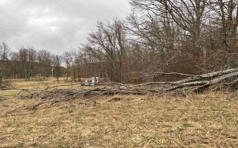 838 Charlie Phillips Road, Montrose, West Virginia 26283, ,Lots/land,For Sale,Charlie Phillips,10158553
