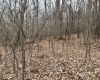 838 Charlie Phillips Road, Montrose, West Virginia 26283, ,Lots/land,For Sale,Charlie Phillips,10158553