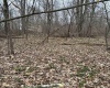 838 Charlie Phillips Road, Montrose, West Virginia 26283, ,Lots/land,For Sale,Charlie Phillips,10158553