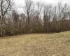 838 Charlie Phillips Road, Montrose, West Virginia 26283, ,Lots/land,For Sale,Charlie Phillips,10158553
