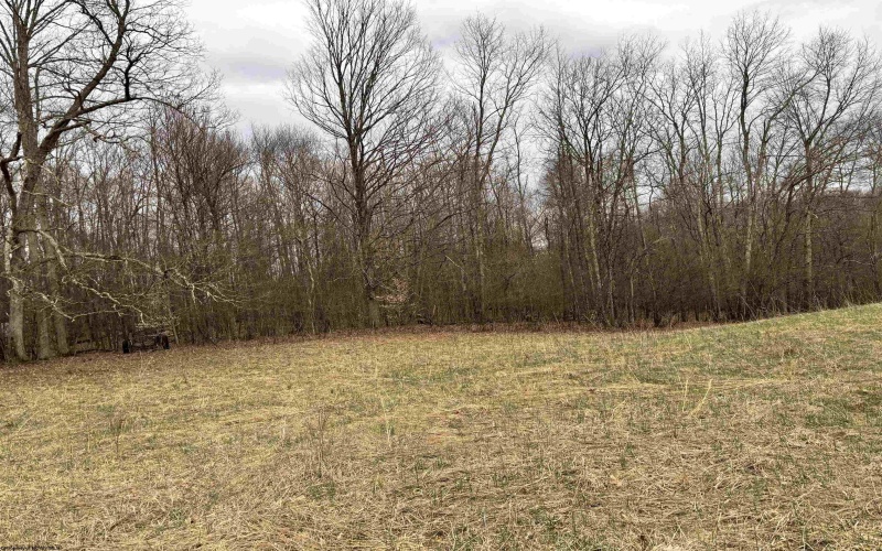 838 Charlie Phillips Road, Montrose, West Virginia 26283, ,Lots/land,For Sale,Charlie Phillips,10158553