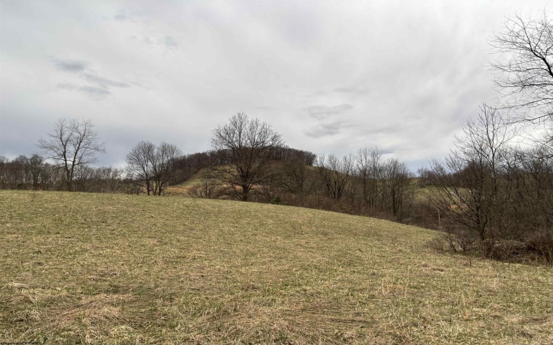 838 Charlie Phillips Road, Montrose, West Virginia 26283, ,Lots/land,For Sale,Charlie Phillips,10158553