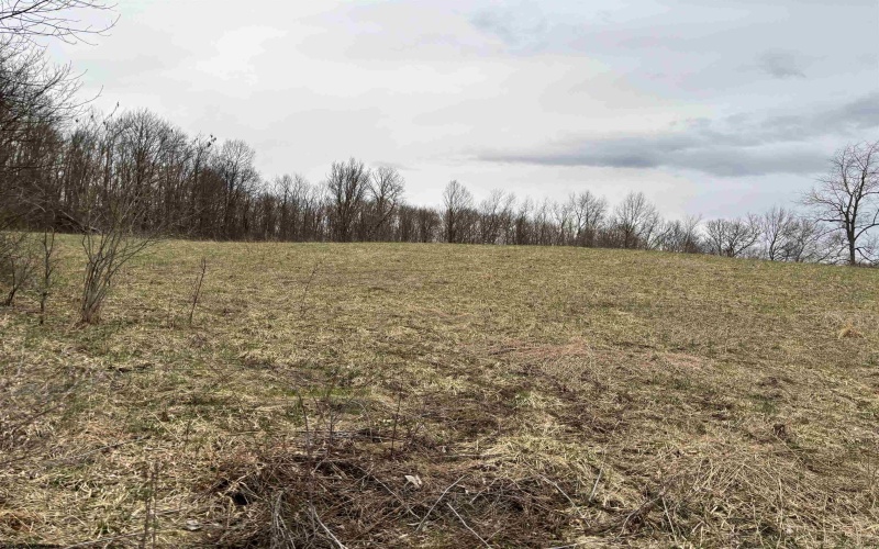 838 Charlie Phillips Road, Montrose, West Virginia 26283, ,Lots/land,For Sale,Charlie Phillips,10158553