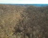 Rt 4-8 Hootin Hollow Road, Wallace, West Virginia 26448, ,Lots/land,For Sale,Hootin Hollow,10158565