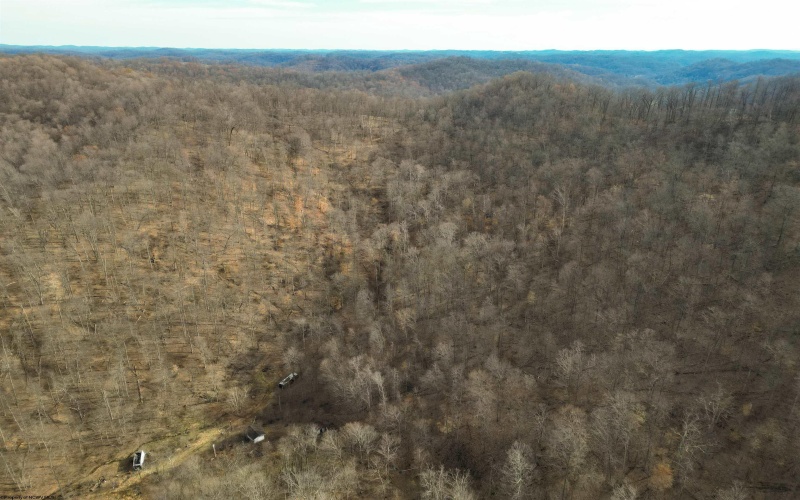 Rt 4-8 Hootin Hollow Road, Wallace, West Virginia 26448, ,Lots/land,For Sale,Hootin Hollow,10158565