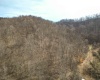 Rt 4-8 Hootin Hollow Road, Wallace, West Virginia 26448, ,Lots/land,For Sale,Hootin Hollow,10158565