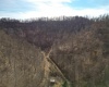 Rt 4-8 Hootin Hollow Road, Wallace, West Virginia 26448, ,Lots/land,For Sale,Hootin Hollow,10158565