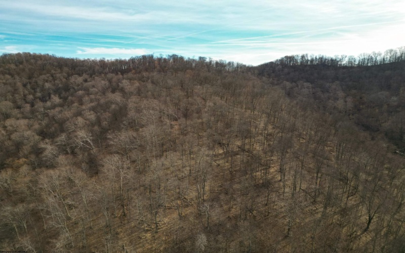 Rt 4-8 Hootin Hollow Road, Wallace, West Virginia 26448, ,Lots/land,For Sale,Hootin Hollow,10158565