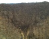 Rt 4-8 Hootin Hollow Road, Wallace, West Virginia 26448, ,Lots/land,For Sale,Hootin Hollow,10158565