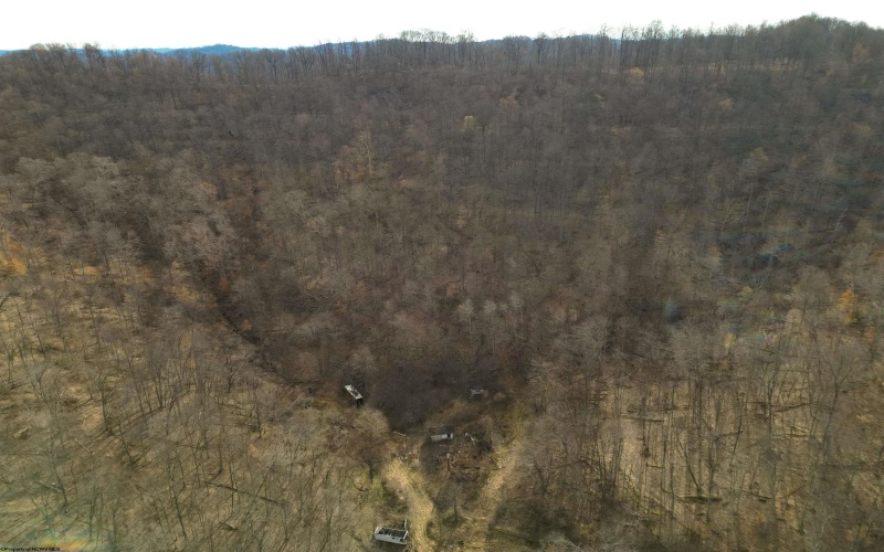 Rt 4-8 Hootin Hollow Road, Wallace, West Virginia 26448, ,Lots/land,For Sale,Hootin Hollow,10158565
