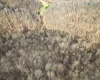 Rt 4-8 Hootin Hollow Road, Wallace, West Virginia 26448, ,Lots/land,For Sale,Hootin Hollow,10158565