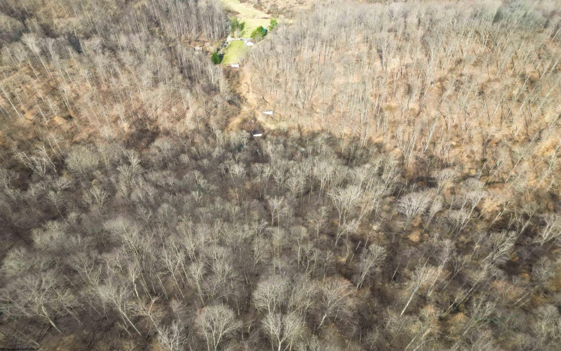 Rt 4-8 Hootin Hollow Road, Wallace, West Virginia 26448, ,Lots/land,For Sale,Hootin Hollow,10158565