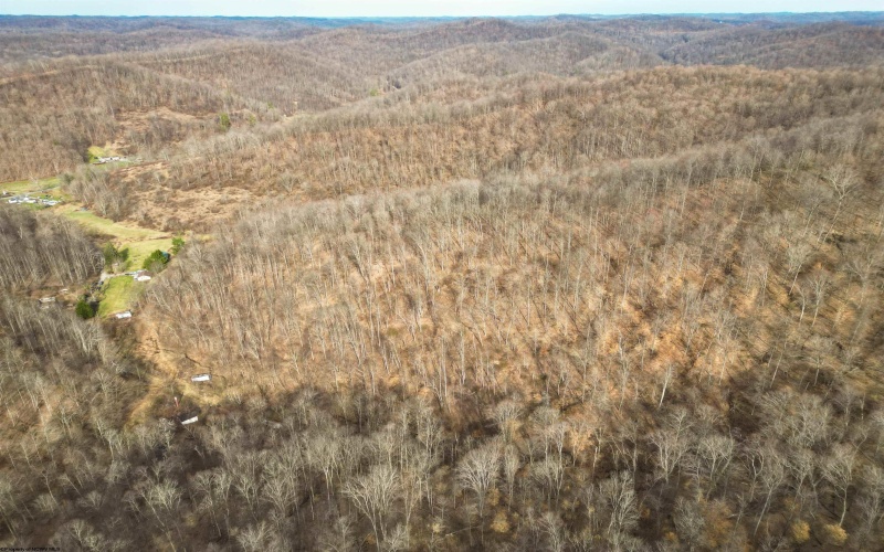 Rt 4-8 Hootin Hollow Road, Wallace, West Virginia 26448, ,Lots/land,For Sale,Hootin Hollow,10158565