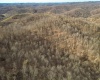 Rt 4-8 Hootin Hollow Road, Wallace, West Virginia 26448, ,Lots/land,For Sale,Hootin Hollow,10158565