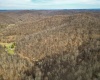 Rt 4-8 Hootin Hollow Road, Wallace, West Virginia 26448, ,Lots/land,For Sale,Hootin Hollow,10158565
