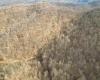 Rt 4-8 Hootin Hollow Road, Wallace, West Virginia 26448, ,Lots/land,For Sale,Hootin Hollow,10158565