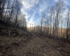 772 Canaan Road, Rock Cave, West Virginia 26234, 1 Bedroom Bedrooms, 5 Rooms Rooms,1 BathroomBathrooms,Single Family Detached,For Sale,Canaan,10158554