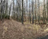30 Laurel View Road, Morgantown, West Virginia 26508, ,Lots/land,For Sale,Laurel View,10148627