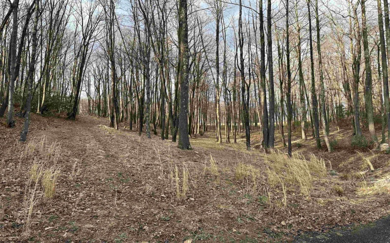 30 Laurel View Road, Morgantown, West Virginia 26508, ,Lots/land,For Sale,Laurel View,10148627