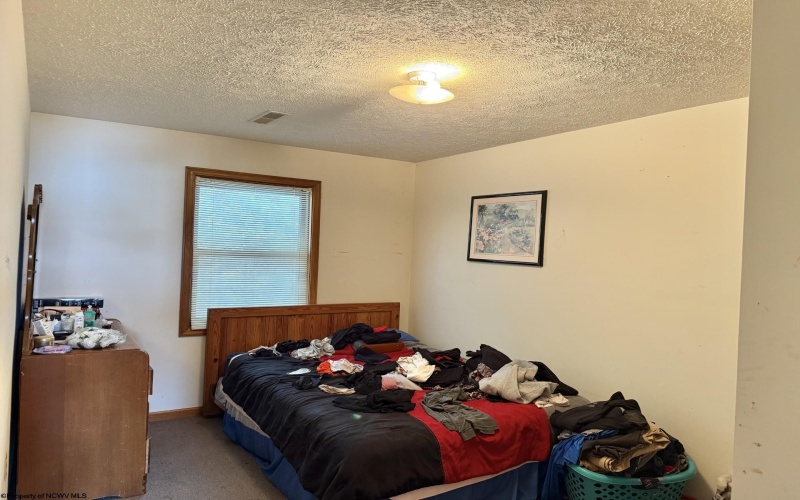 85 LOCHOA Drive, Davis, West Virginia 26260, ,Multi-unit/income,For Sale,LOCHOA,10158590