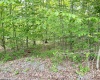56 Winterset Drive, Davis, West Virginia 26260, ,Lots/land,For Sale,Winterset,10158606