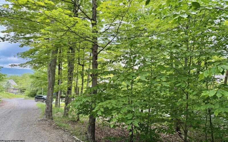 56 Winterset Drive, Davis, West Virginia 26260, ,Lots/land,For Sale,Winterset,10158606