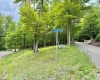 56 Winterset Drive, Davis, West Virginia 26260, ,Lots/land,For Sale,Winterset,10158606