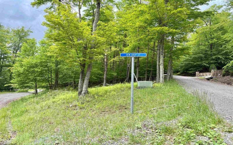 56 Winterset Drive, Davis, West Virginia 26260, ,Lots/land,For Sale,Winterset,10158606