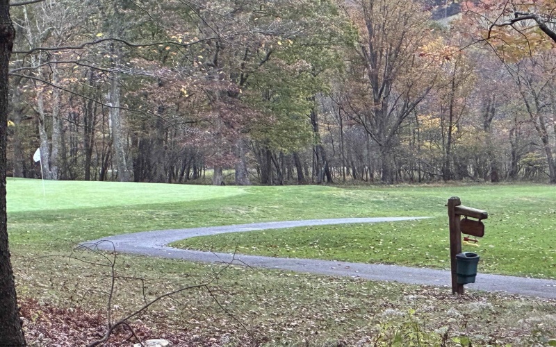 173 Pond Lily Lane, Terra Alta, West Virginia 26764, 3 Bedrooms Bedrooms, 9 Rooms Rooms,2 BathroomsBathrooms,Single Family Detached,For Sale,Pond Lily,10156251 173 Pond Lily Lane, Terra Alta, West Virginia 26764, 3 Bedrooms Bedrooms, 9 Rooms Rooms,2 BathroomsBathrooms,Single Family Detached,For Sale,Pond Lily,10156251