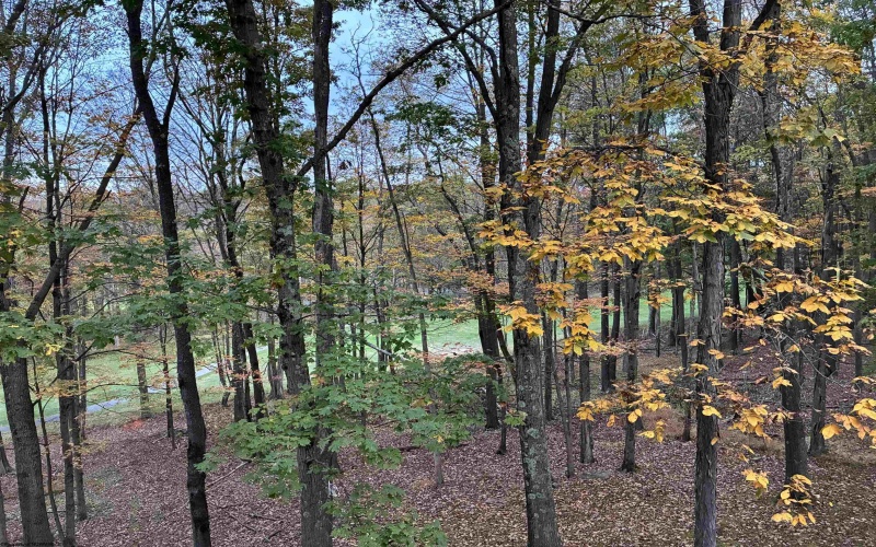 173 Pond Lily Lane, Terra Alta, West Virginia 26764, 3 Bedrooms Bedrooms, 9 Rooms Rooms,2 BathroomsBathrooms,Single Family Detached,For Sale,Pond Lily,10156251 173 Pond Lily Lane, Terra Alta, West Virginia 26764, 3 Bedrooms Bedrooms, 9 Rooms Rooms,2 BathroomsBathrooms,Single Family Detached,For Sale,Pond Lily,10156251