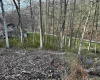 TBD Goose Run Road, Fairmont, West Virginia 26554, ,Lots/land,For Sale,Goose Run,10158704