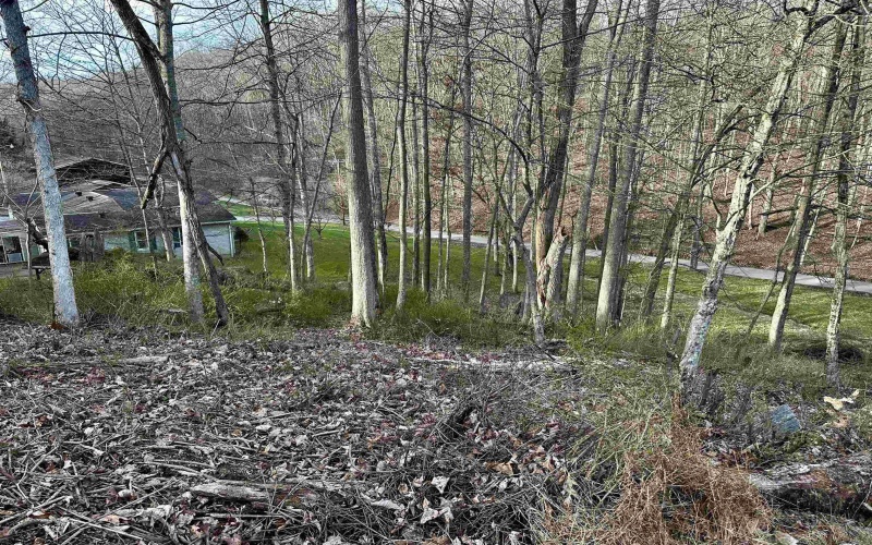 TBD Goose Run Road, Fairmont, West Virginia 26554, ,Lots/land,For Sale,Goose Run,10158704