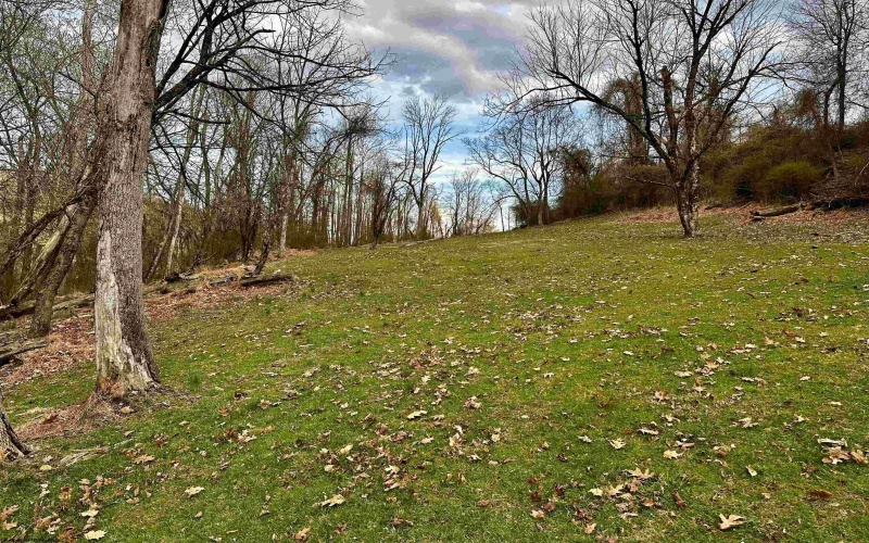 TBD Goose Run Road, Fairmont, West Virginia 26554, ,Lots/land,For Sale,Goose Run,10158704