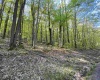 Lot 147 Cabin Mountain Road, Davis, West Virginia 26260, ,Lots/land,For Sale,Cabin Mountain,10158709