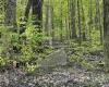 Lot 147 Cabin Mountain Road, Davis, West Virginia 26260, ,Lots/land,For Sale,Cabin Mountain,10158709