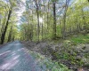 Lot 147 Cabin Mountain Road, Davis, West Virginia 26260, ,Lots/land,For Sale,Cabin Mountain,10158709