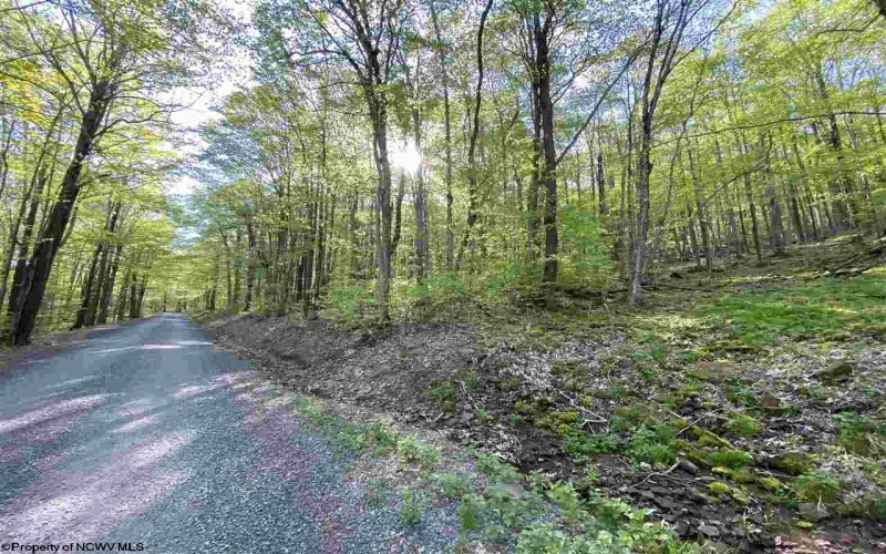 Lot 147 Cabin Mountain Road, Davis, West Virginia 26260, ,Lots/land,For Sale,Cabin Mountain,10158709