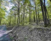 Lot 147 Cabin Mountain Road, Davis, West Virginia 26260, ,Lots/land,For Sale,Cabin Mountain,10158709