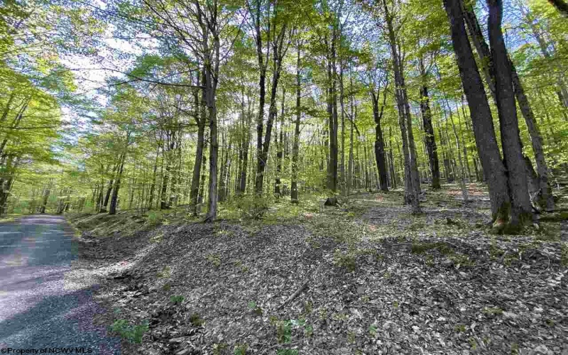 Lot 147 Cabin Mountain Road, Davis, West Virginia 26260, ,Lots/land,For Sale,Cabin Mountain,10158709
