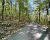 Lot 147 Cabin Mountain Road, Davis, West Virginia 26260, ,Lots/land,For Sale,Cabin Mountain,10158709