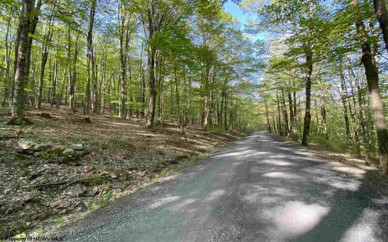 Lot 147 Cabin Mountain Road, Davis, West Virginia 26260, ,Lots/land,For Sale,Cabin Mountain,10158709