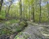 Lot 147 Cabin Mountain Road, Davis, West Virginia 26260, ,Lots/land,For Sale,Cabin Mountain,10158709