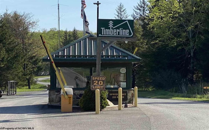 Lot 147 Cabin Mountain Road, Davis, West Virginia 26260, ,Lots/land,For Sale,Cabin Mountain,10158709