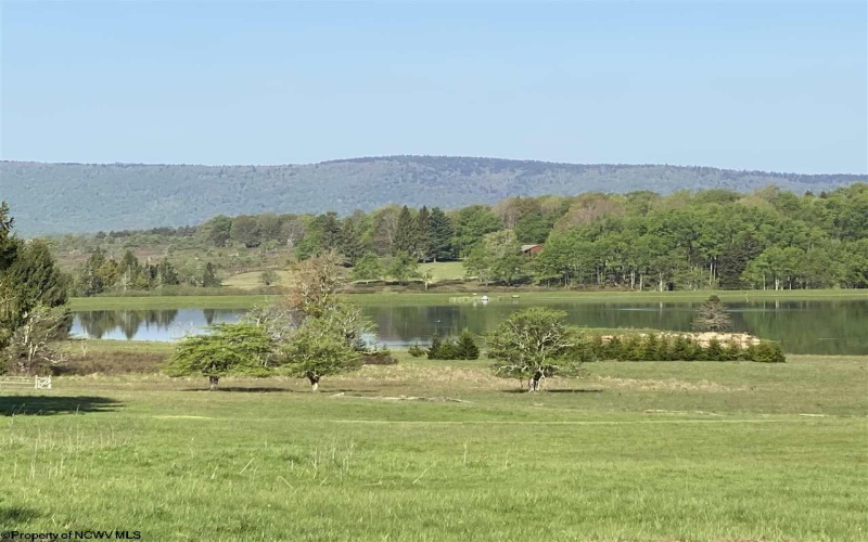 Lot 147 Cabin Mountain Road, Davis, West Virginia 26260, ,Lots/land,For Sale,Cabin Mountain,10158709
