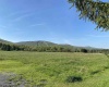Lot 147 Cabin Mountain Road, Davis, West Virginia 26260, ,Lots/land,For Sale,Cabin Mountain,10158709