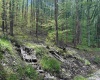 Lot 147 Cabin Mountain Road, Davis, West Virginia 26260, ,Lots/land,For Sale,Cabin Mountain,10158709