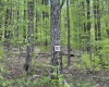 Lot 147 Cabin Mountain Road, Davis, West Virginia 26260, ,Lots/land,For Sale,Cabin Mountain,10158709