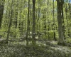 Lot 147 Cabin Mountain Road, Davis, West Virginia 26260, ,Lots/land,For Sale,Cabin Mountain,10158709